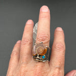 Ammonite, Kingman Turquoise on Textured Oxidized SilverBORARINGS