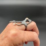 Octopus RingBORARINGS