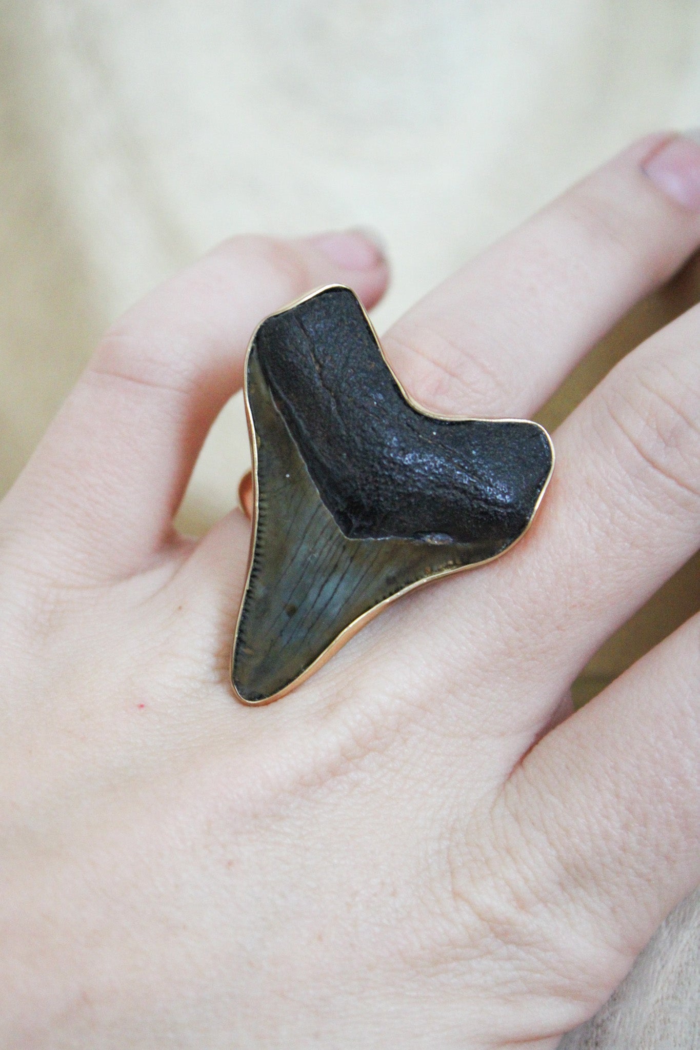 Alchemia Fossil Shark Tooth Adjustable RingCharles Albert Inc.Rings