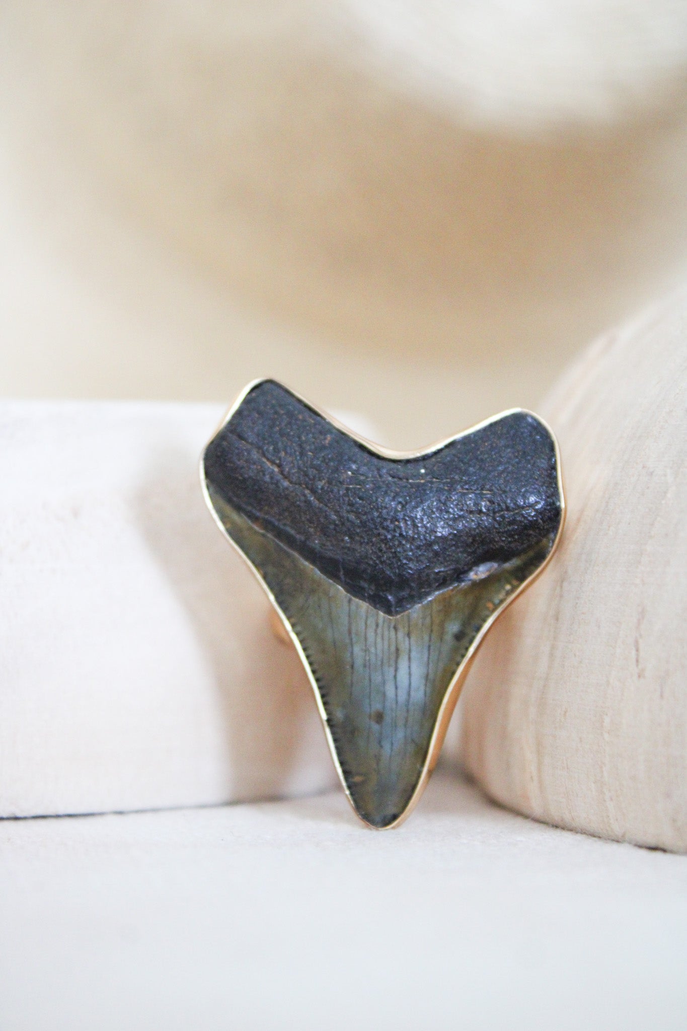 Alchemia Fossil Shark Tooth Adjustable RingCharles Albert Inc.Rings