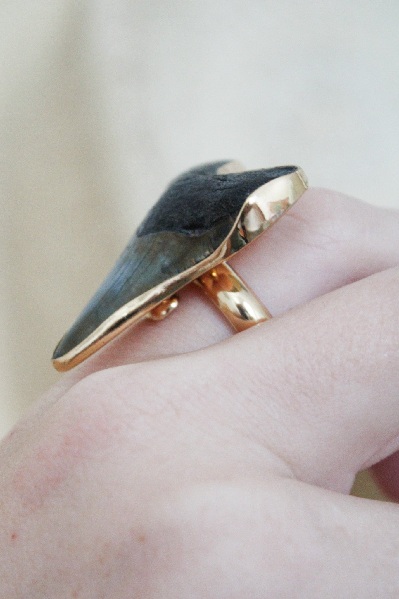 Alchemia Fossil Shark Tooth Adjustable RingCharles Albert Inc.Rings