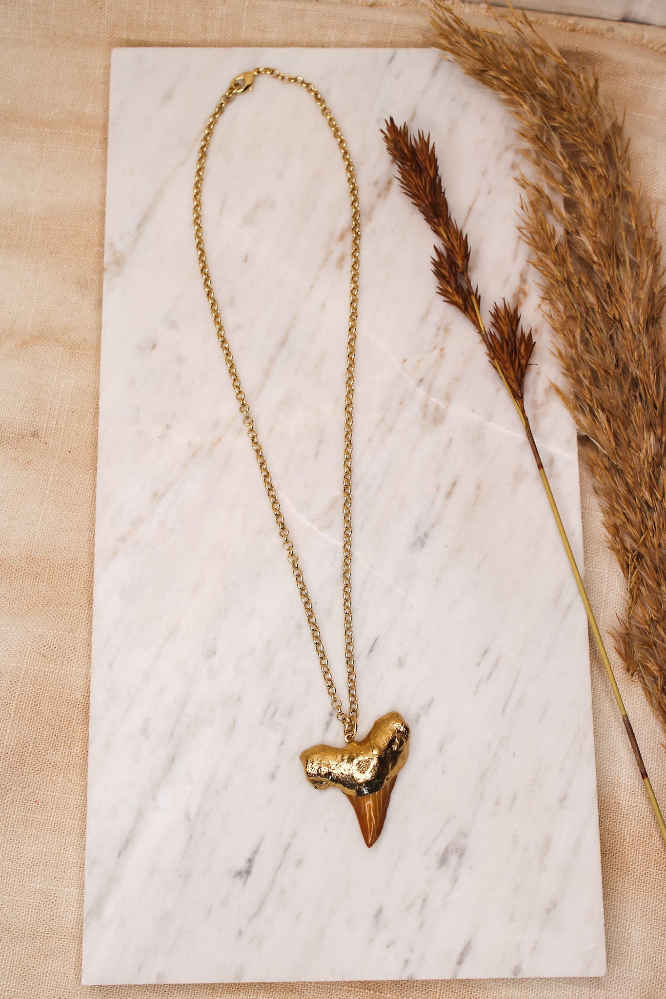 Mako Shark Tooth NecklaceZADANecklace