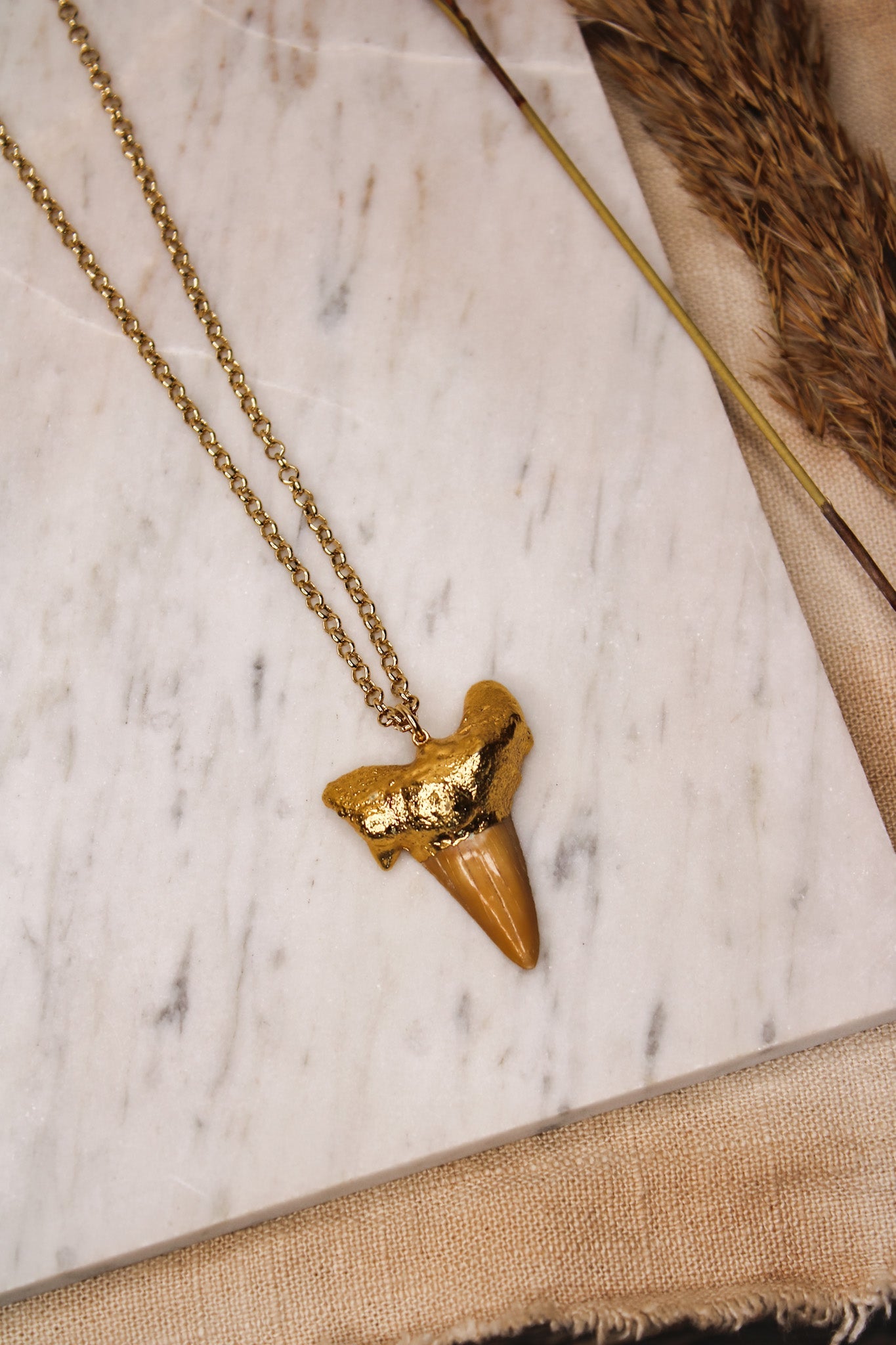Mako Shark Tooth NecklaceZADANecklace