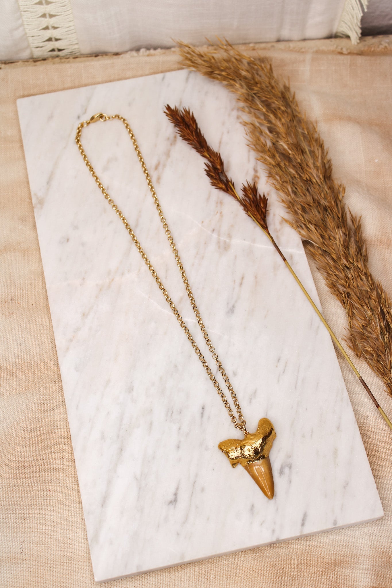 Mako Shark Tooth NecklaceZADANecklace