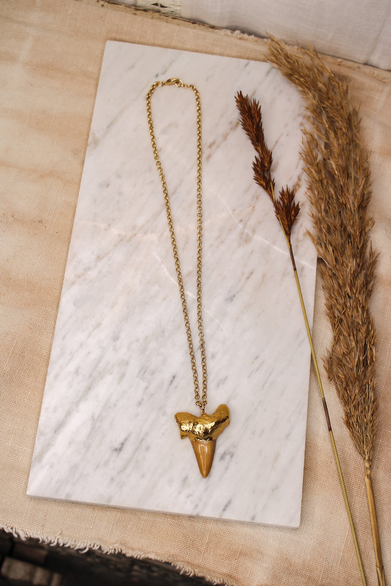 Mako Shark Tooth NecklaceZADANecklace
