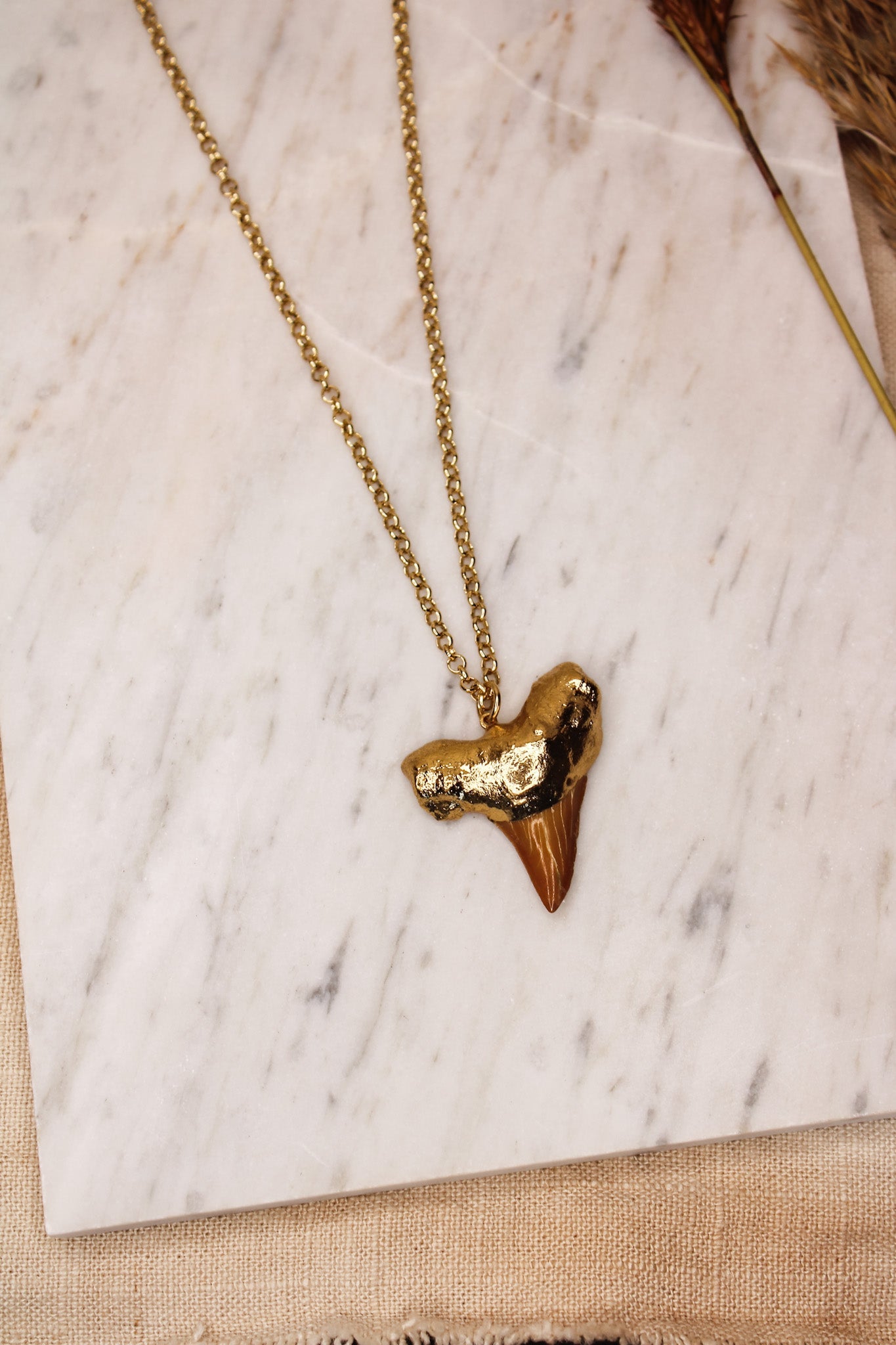 Mako Shark Tooth NecklaceZADANecklace