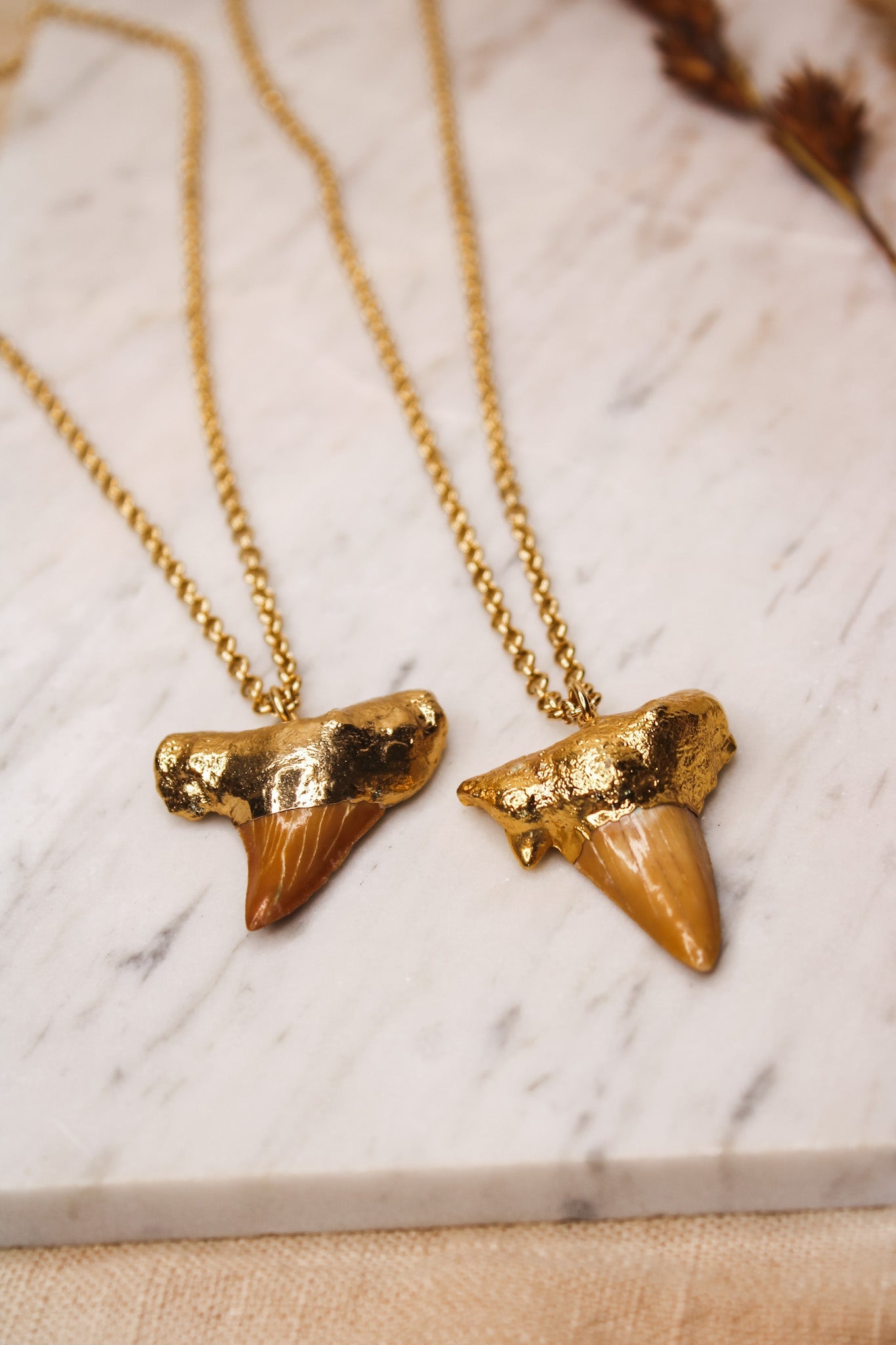 Mako Shark Tooth NecklaceZADANecklace
