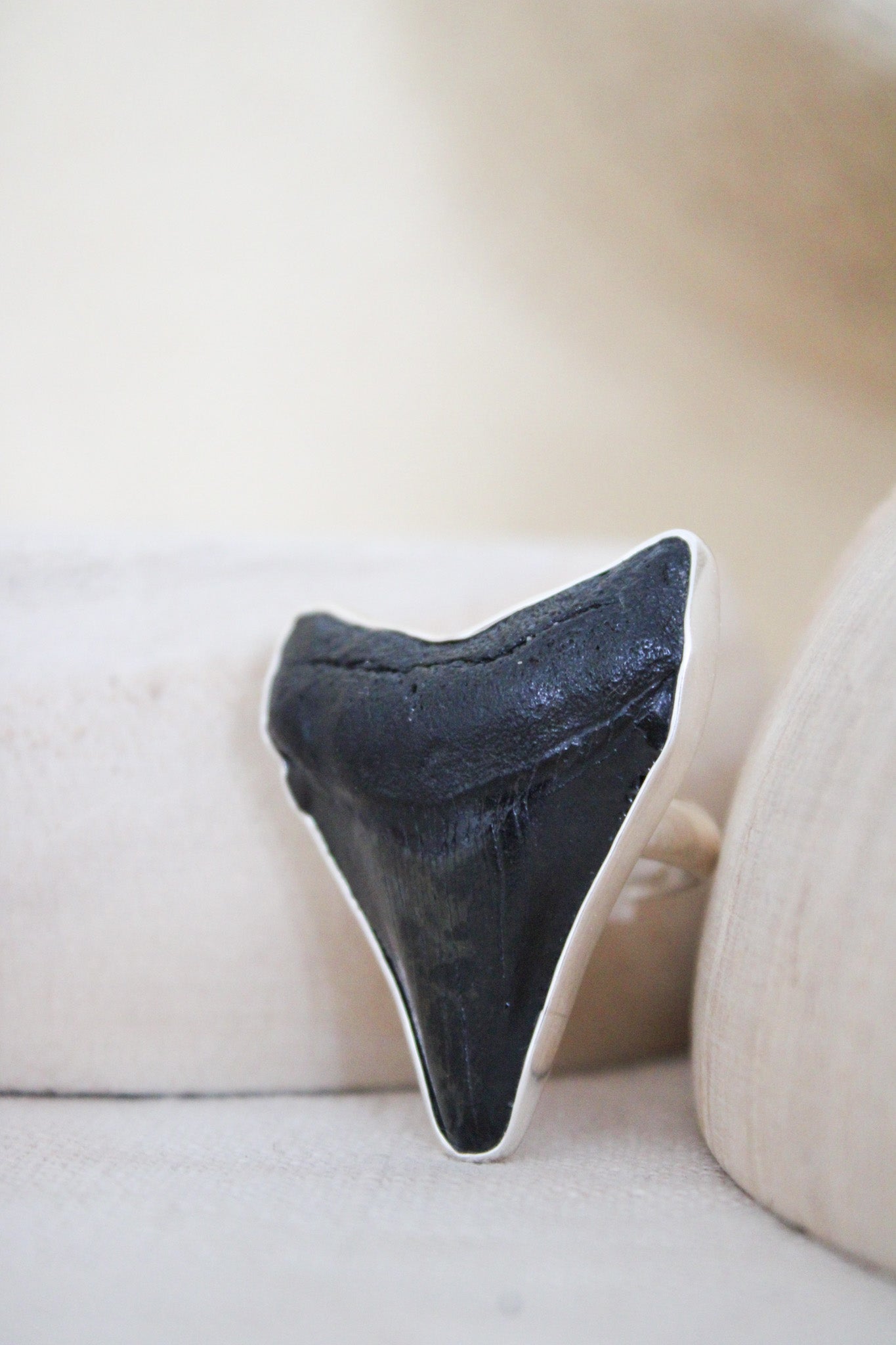 Silver Alchemia Fossil Shark Tooth Adjustable RingCharles Albert Inc.Rings