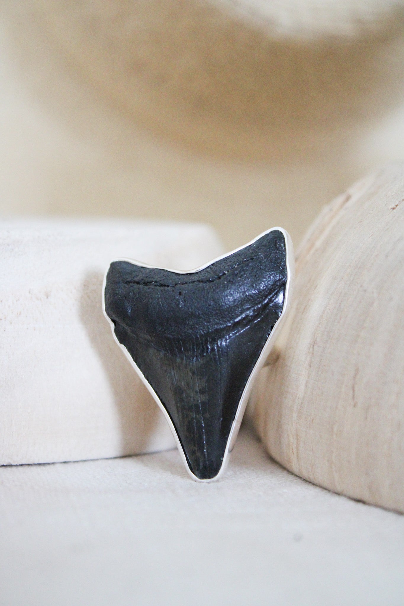 Silver Alchemia Fossil Shark Tooth Adjustable RingCharles Albert Inc.Rings