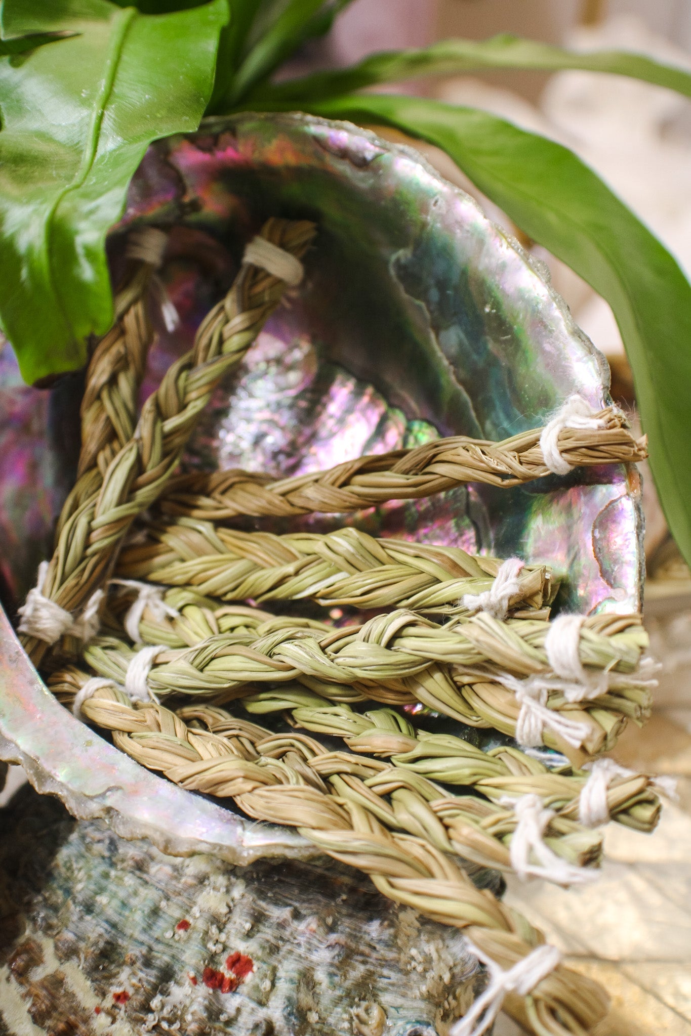 Sweetgrass BraidFaiza NaturalsHome & Garden