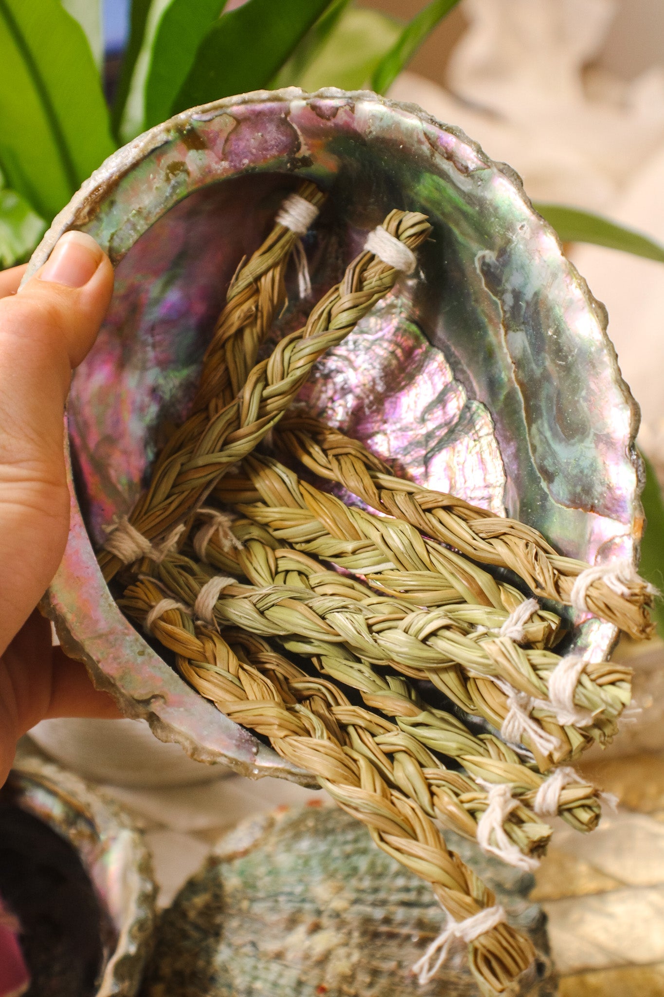 Sweetgrass BraidFaiza NaturalsHome & Garden
