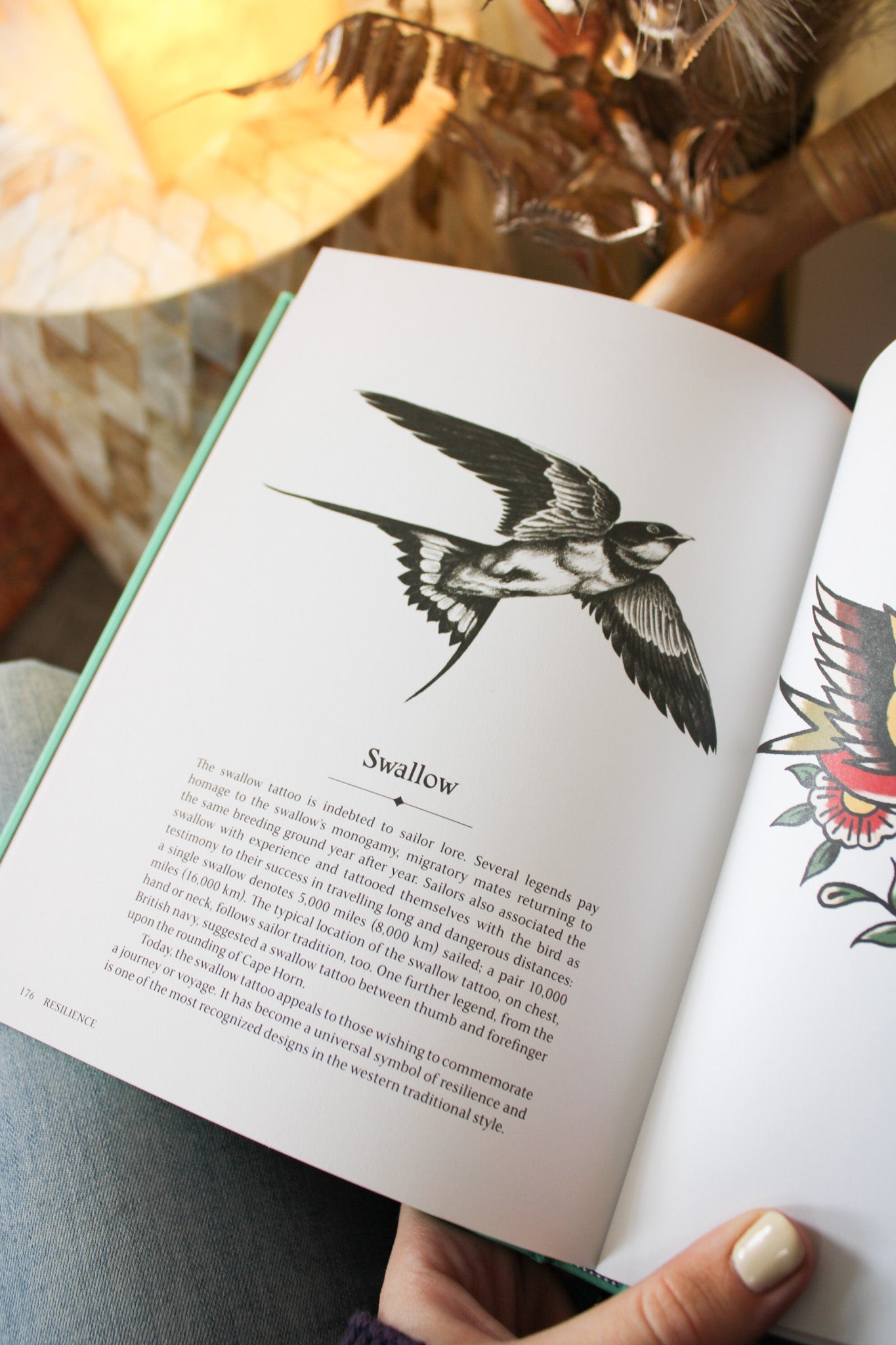 The Language of Tattoos: 130 Symbols and What They MeanZiabirdHome