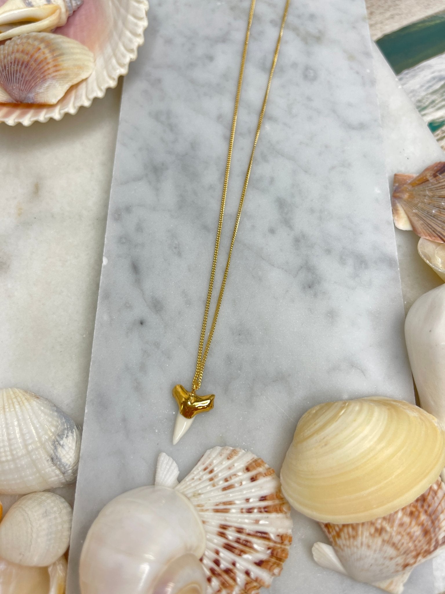 White Shark Tooth NecklaceRise Hawaii JewelryNecklace