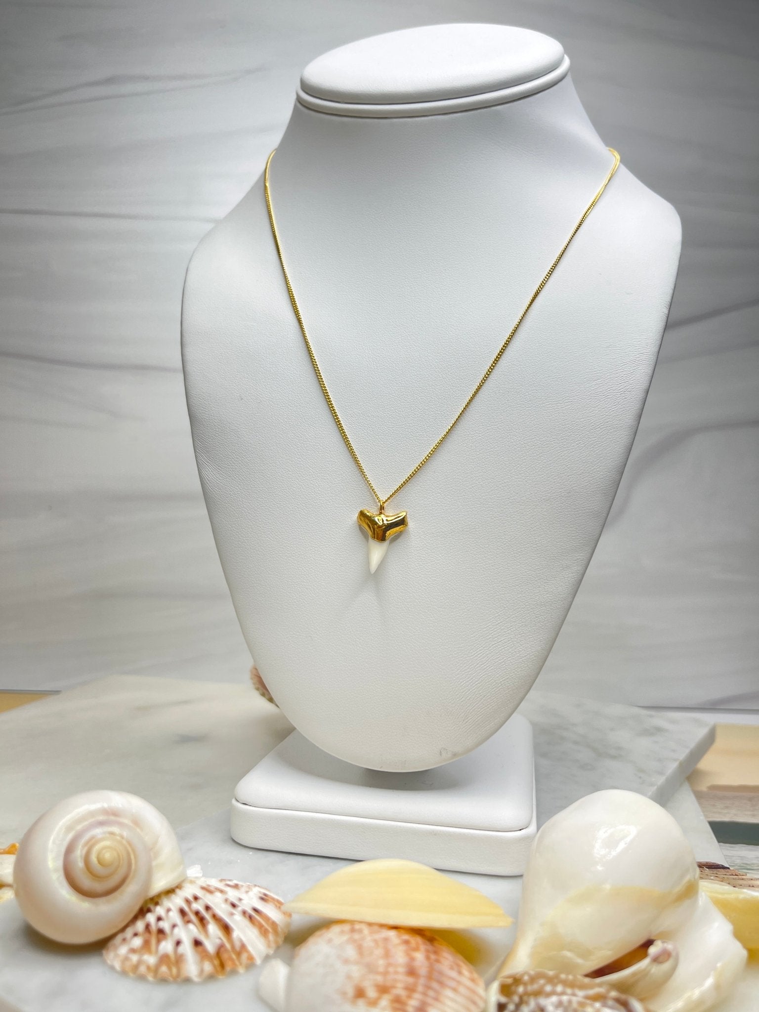 White Shark Tooth NecklaceRise Hawaii JewelryNecklace