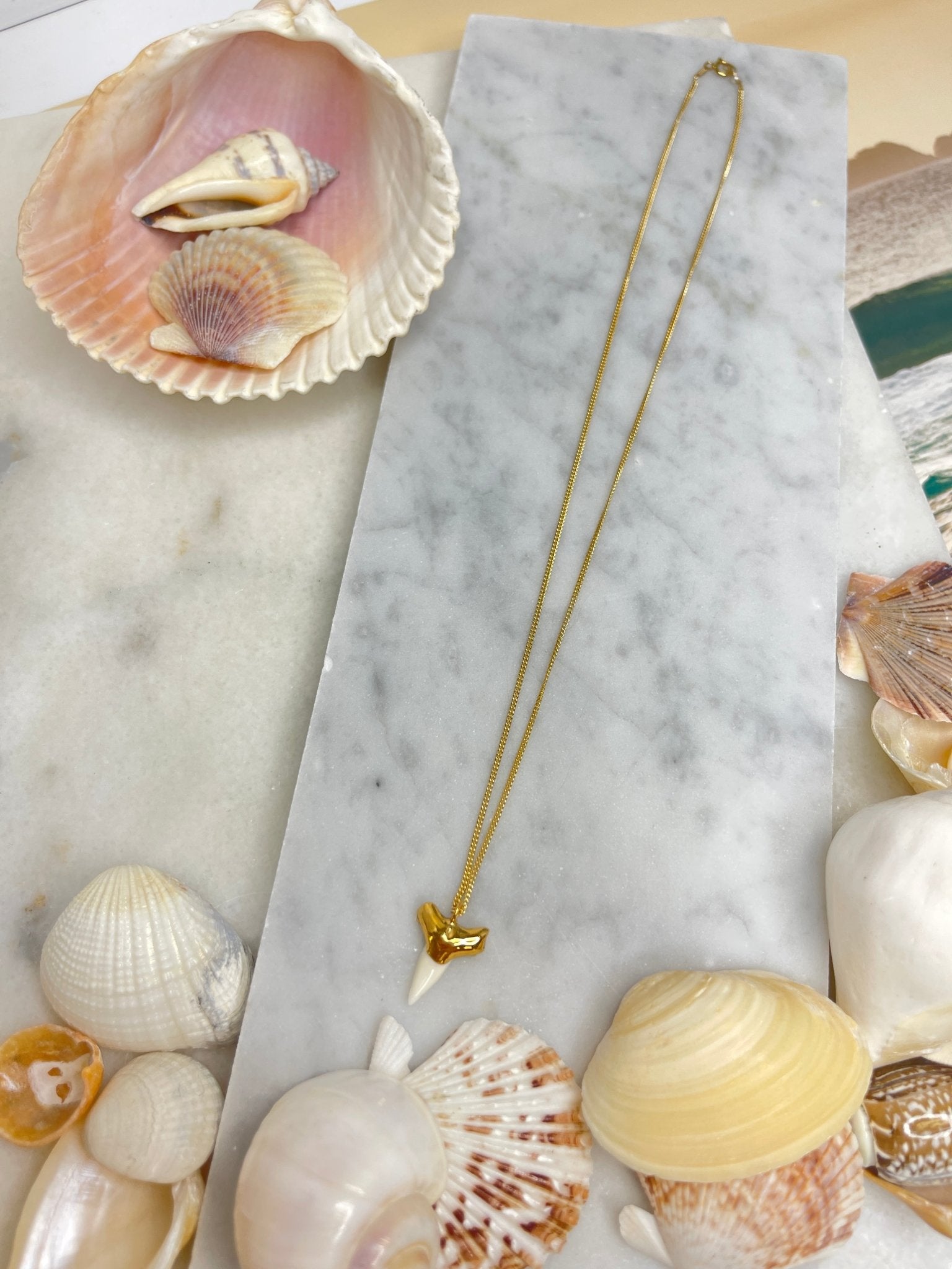 White Shark Tooth NecklaceRise Hawaii JewelryNecklace