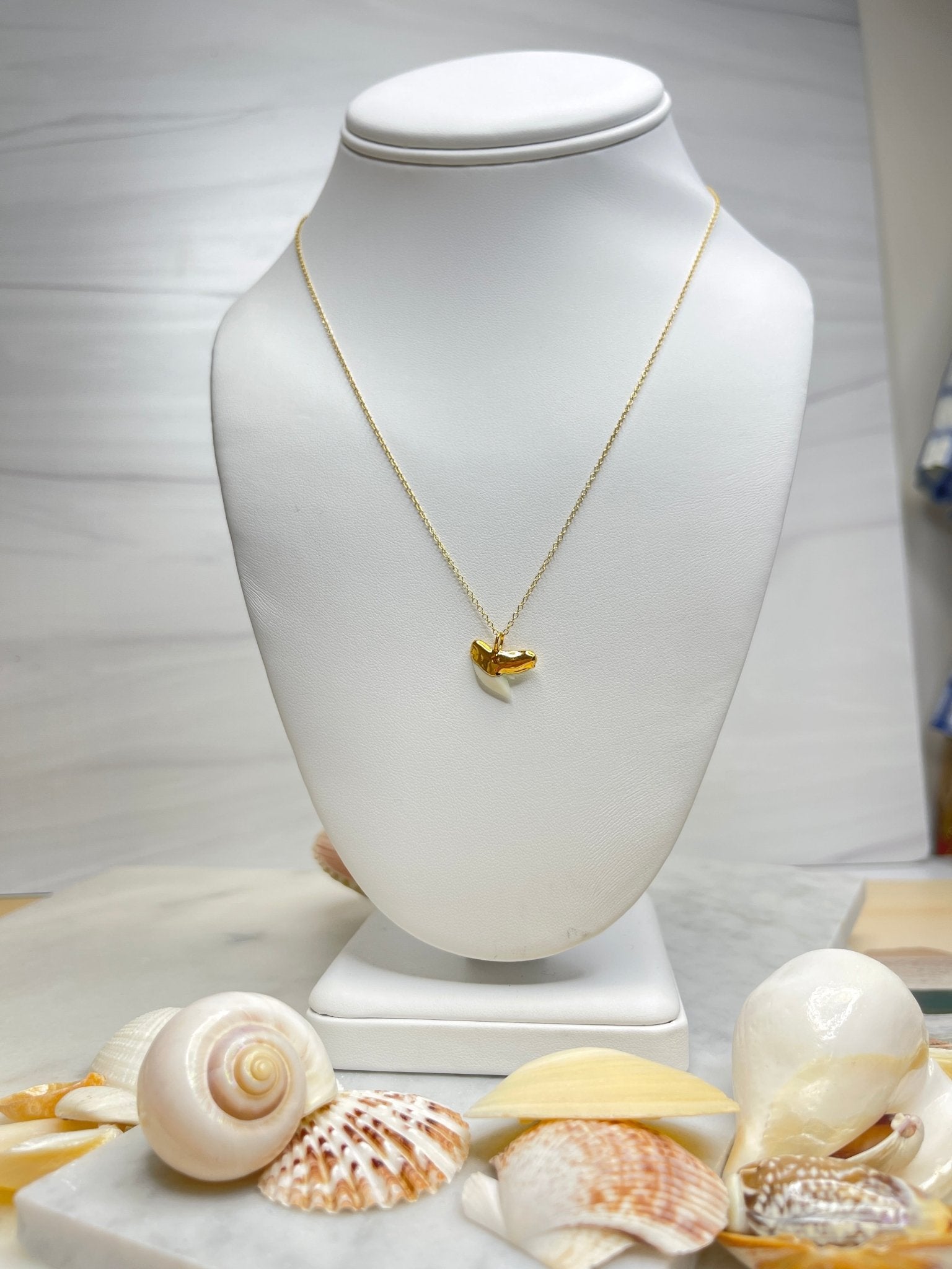White Shark Tooth NecklaceRise Hawaii JewelryNecklace