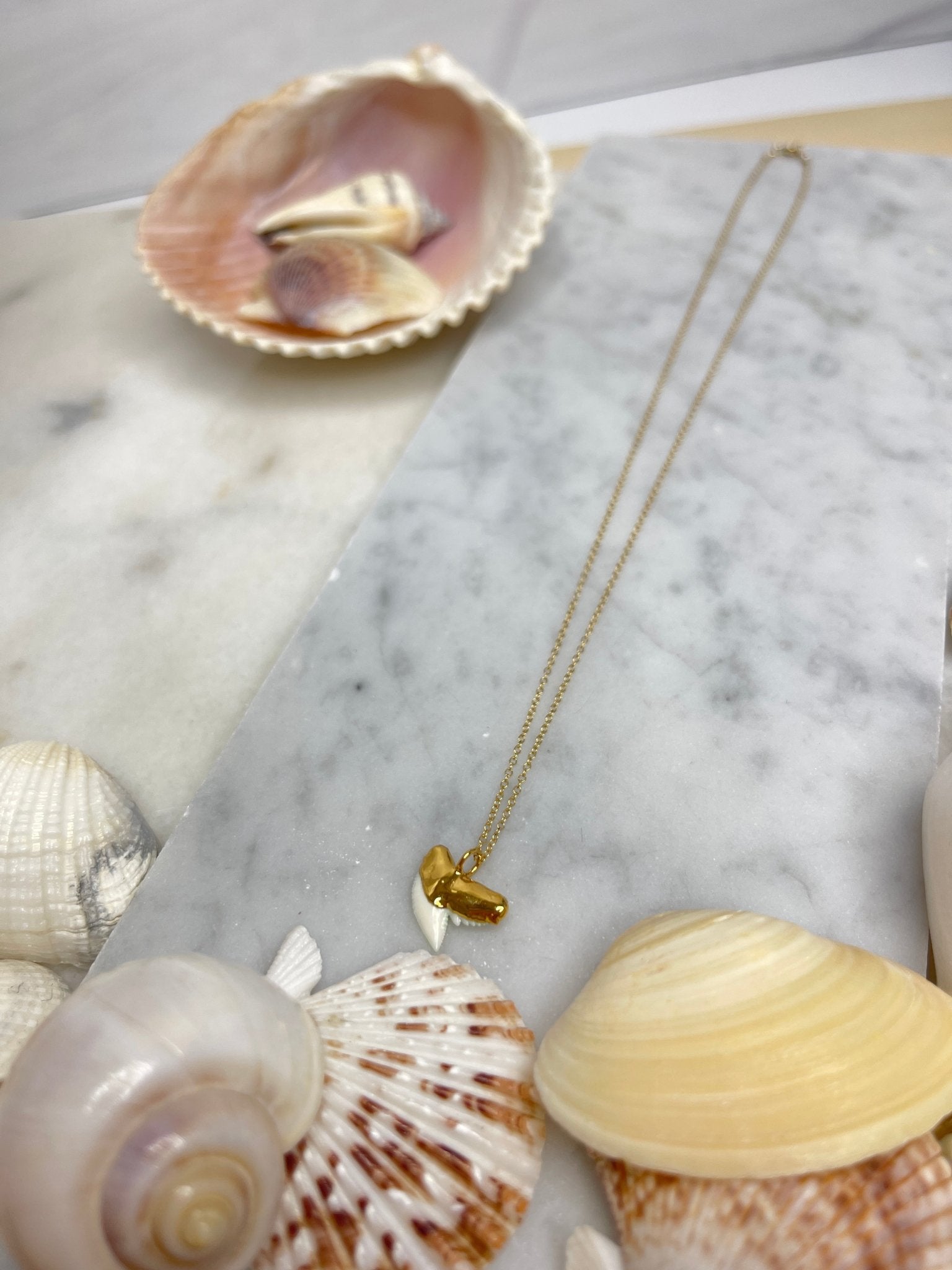 White Shark Tooth NecklaceRise Hawaii JewelryNecklace