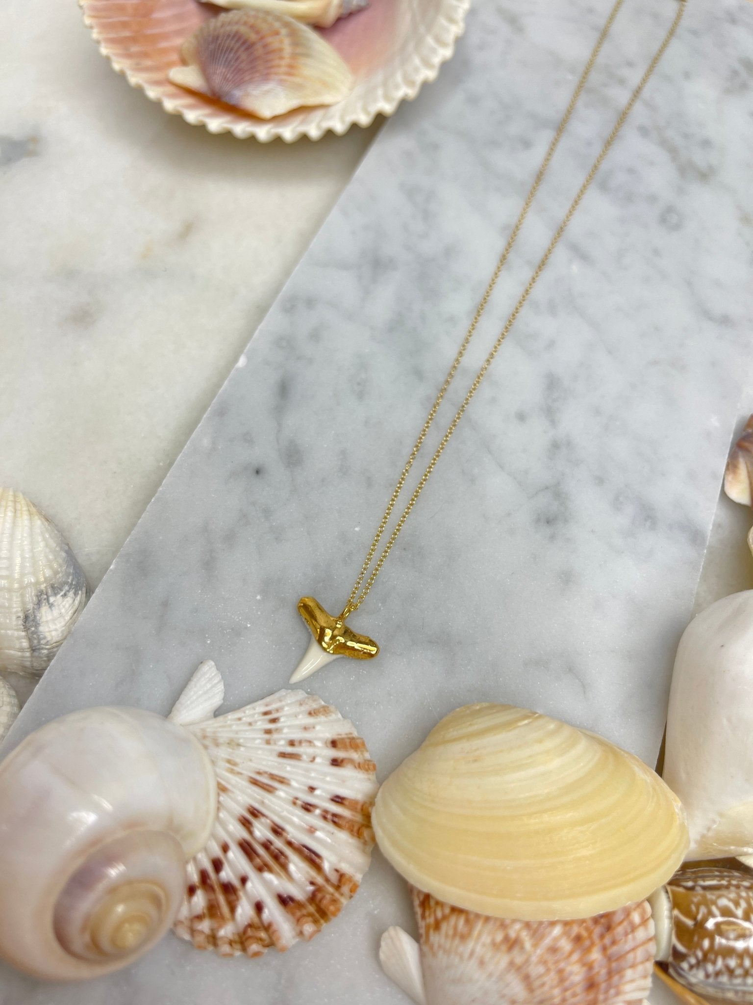 White Shark Tooth NecklaceRise Hawaii JewelryNecklace