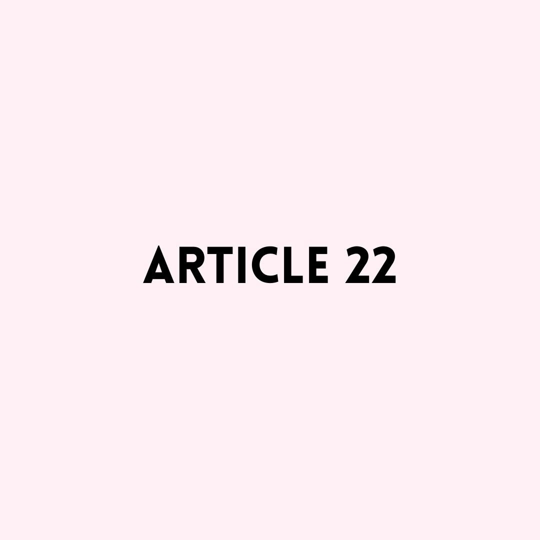 Article 22 - Ziabird