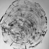 San Francisco, Real Redwood Art, 36x48 Inches. Original Signed artwork made from Real Redwood