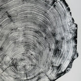 San Francisco, Real Redwood Art, 36x48 Inches. Original Signed artwork made from Real Redwood