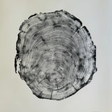 San Francisco, Real Redwood Art, 36x48 Inches. Original Signed artwork made from Real Redwood