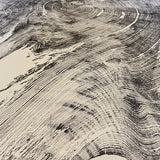 Redwood Tree, Tree Ring Print, California Coast, Wood Slice Wall Art, Huge Wall Art, Natural Wood Slices 52”x72”