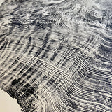 Redwood Tree, Tree Ring Print, California Coast, Wood Slice Wall Art, Huge Wall Art, Natural Wood Slices 52”x72”