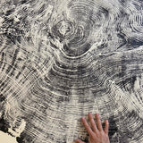 Redwood Tree, Tree Ring Print, California Coast, Wood Slice Wall Art, Huge Wall Art, Natural Wood Slices 52”x72”