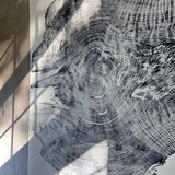 Redwood Tree, Tree Ring Print, California Coast, Wood Slice Wall Art, Huge Wall Art, Natural Wood Slices 52”x72”