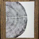 Rock Canyon Pine, Cropped, Limited Edition 11x14 inches. Hand pressed and signed.