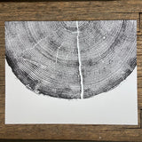 Rock Canyon Pine, Cropped, Limited Edition 11x14 inches. Hand pressed and signed.