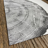 Rock Canyon Pine, Cropped, Limited Edition 11x14 inches. Hand pressed and signed.