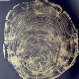 San Francisco Redwood. Gold and Black, 36x48 Inches. Original Signed artwork made from Real Redwood