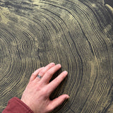 San Francisco Redwood. Gold and Black, 36x48 Inches. Original Signed artwork made from Real Redwood