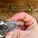 Green Turquoise Concho Ring – Size 9 – Navajo Handmade by Boyd AshleyThe Bijoux FAB Jewelryring