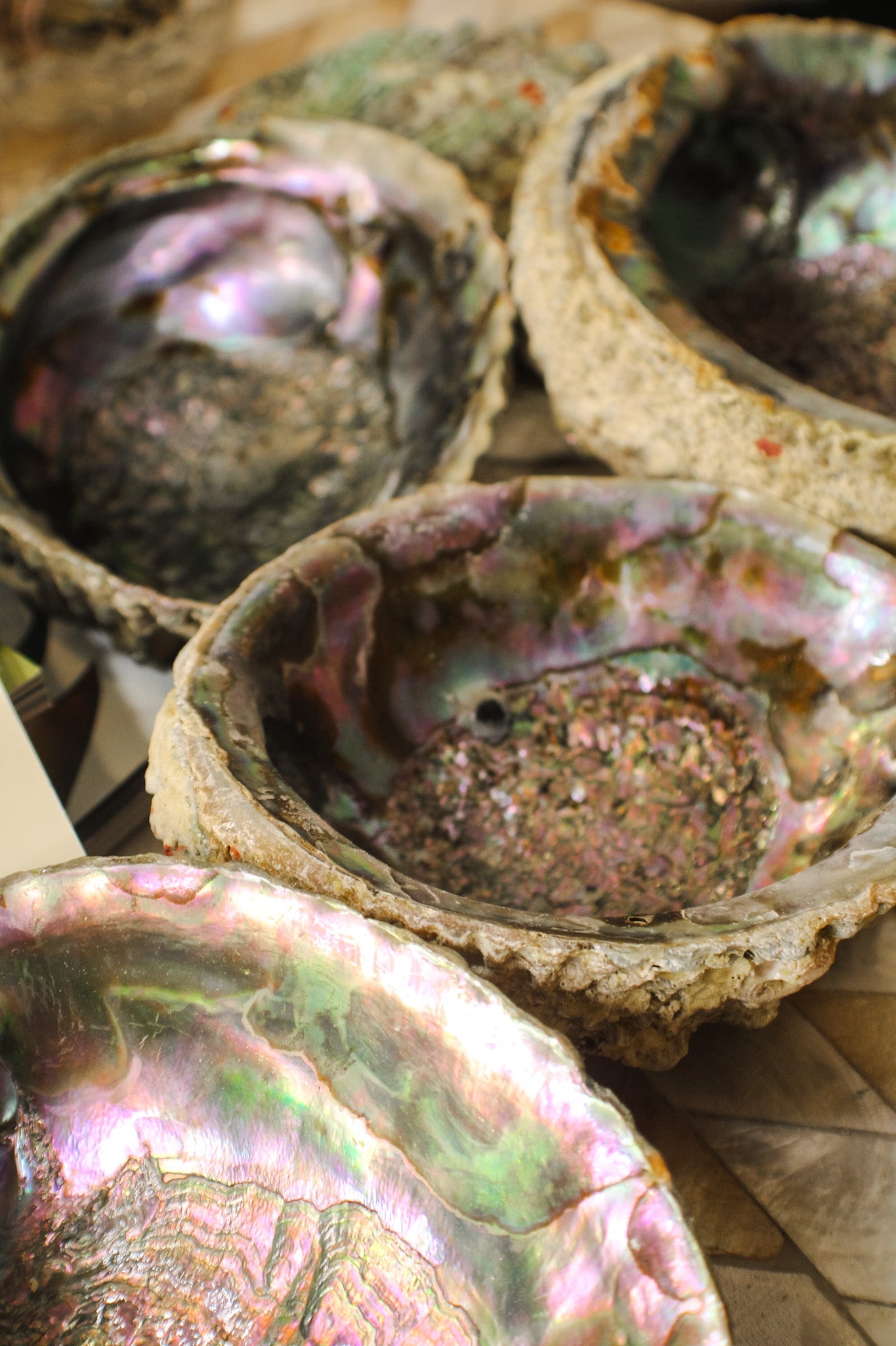 Abalone Shell BowlsFaiza NaturalsHome & Garden