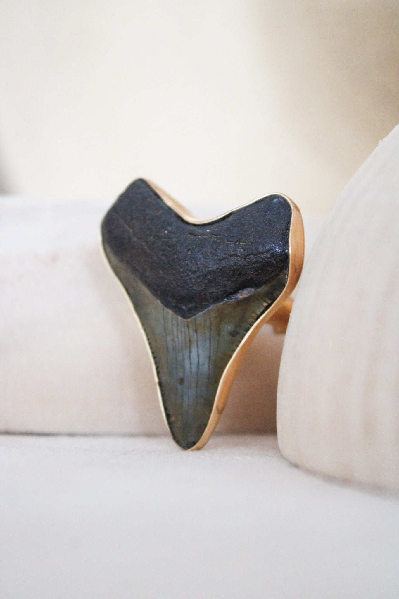 Alchemia Fossil Shark Tooth Adjustable RingCharles Albert Inc.Rings