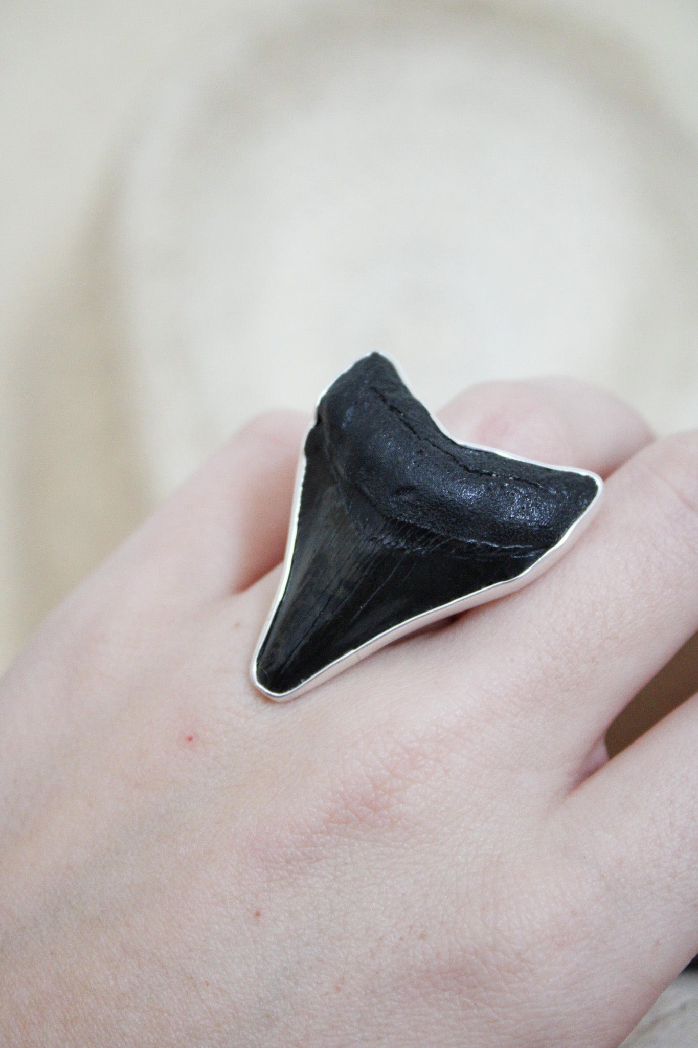 Silver Alchemia Fossil Shark Tooth Adjustable RingCharles Albert Inc.Rings